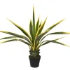 Witek Home Agawa w doniczce 115cm Fashion