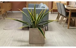 Witek Home Agawa w doniczce 115cm Fashion