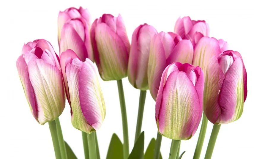 Art-Pol Bukiet 12 sztucznych tulipanów 38 cm różowo-białe Outlet
