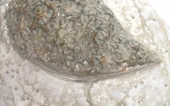 Dekor Pap Figurka Kura kremowo-brązowa 18,5 cm Clearance