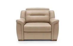 Bydgoskie Meble Fotel Salmo SK. B42 Discount