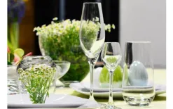 Witek Home Kieliszek do wody 500ml Splendour Best