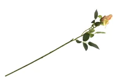 Inna Kwiat Róża długa Clearance