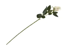 Inna Kwiat Róża długa Clearance