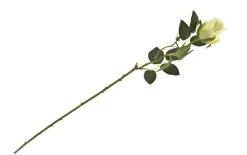 Inna Kwiat Róża długa Clearance