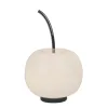 Witek Home Lampa stołowa Jabłko MT5069-1C-GL srebrna (277922) Online