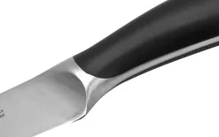 Zwieger Nóż do warzyw i owoców 10cm Obsidian Best