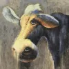 Witek Home Obraz na płótnie 100x100cm Krowa półcień Online