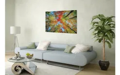 Witek Home Obraz szklany 120x80 Drzewa Clearance
