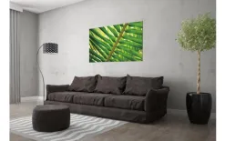 Witek Home Obraz szklany 120x80 Liść Areka Discount