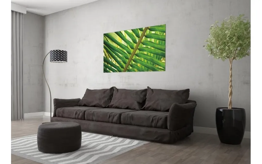 Witek Home Obraz szklany 120x80 Liść Areka Discount