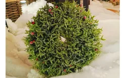 Art-Pol Ozdoba świąteczna Wianek czerwone kulki 40 cm Fashion