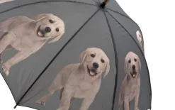 Mars&More Parasol Labrador Online