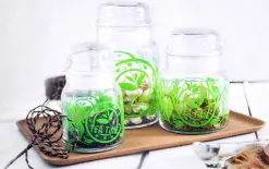 Glasmark Pojemnik do przechowywania herbaty 890 ml Tea Time Online