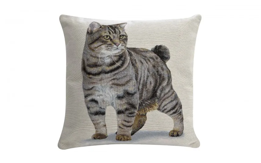 Artica Poszewka dekoracyjna 45x45 cm Kocur 797 Online