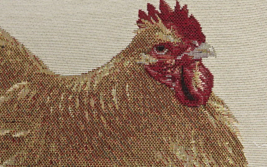 Witek Home Poszewka ozdobna 45x45 kura Outlet