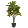 Witek Home Roślina doniczkowa Kroton zielony 100cm PROMO Outlet