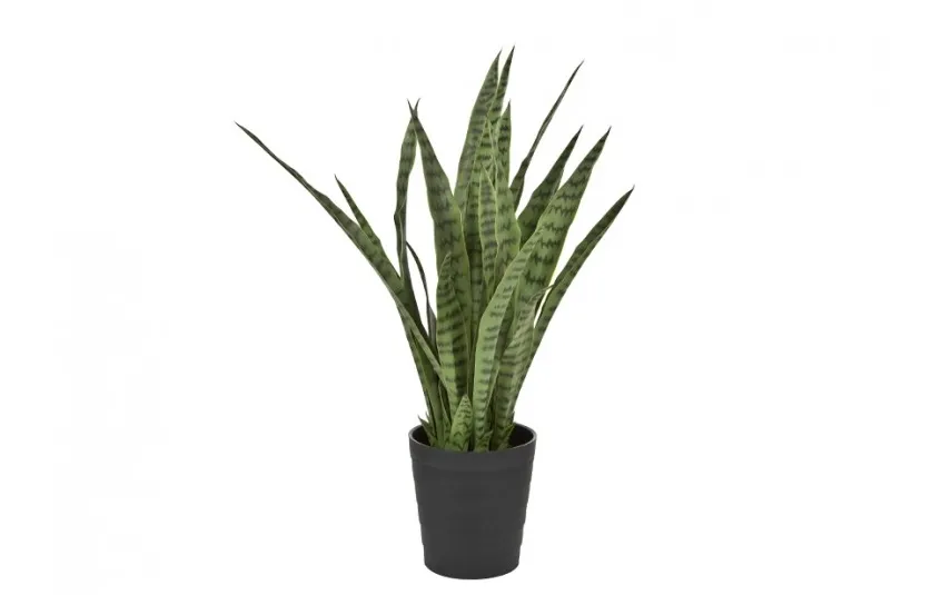 Witek Home Roślina Sansewieria gwinejska zielona 94cm (sztuczna) New