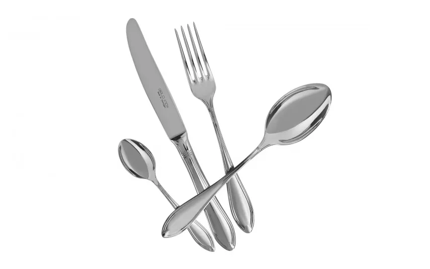 Witek Home Sztućce Tamisa 12/72 w kasecie Belo Inox Fashion