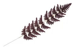 Witek Home Sztuczny liść paproci 74cm Online
