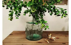 San Miguel Wazon szklany 26cm All you need is love recykling Best