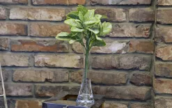 Sigma Glass Wazon wazonik szklany skośny 25 cm Online