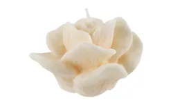 Witek Home Świeca róża cream Online
