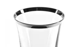 Combi dla Witeks Zestaw 6 kieliszków do szampana 160 ml Platinium Line Sale